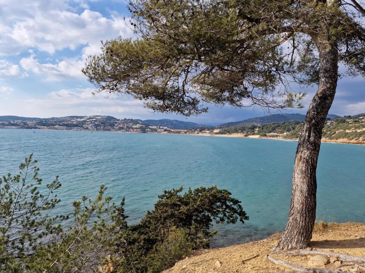 Sanaritz Διαμέρισμα Sanary-sur-Mer Εξωτερικό φωτογραφία